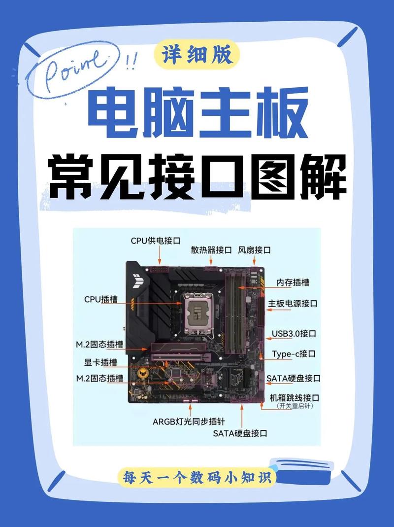 电脑为什么只能进主板?