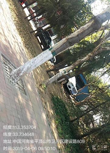 平顶山经典996网络