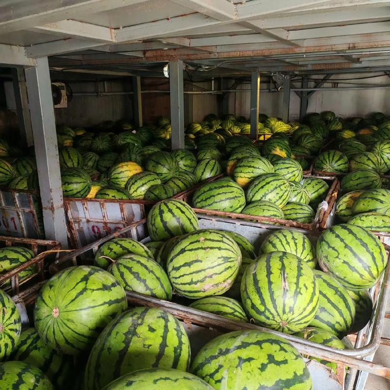 西瓜自助涨粉平台,爱抖音代刷