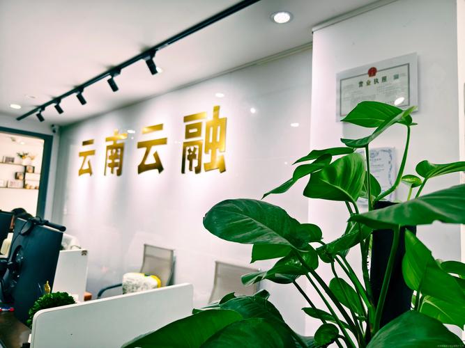 昆明有资源网络公司吗