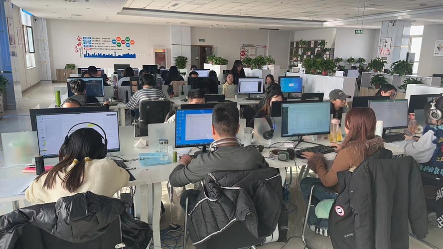 内蒙古有多少网络公司