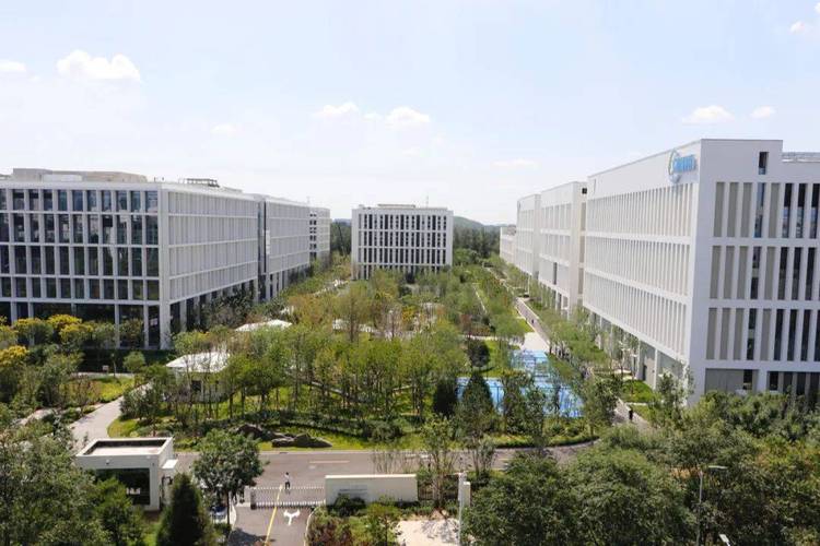 北京大型科技网络公司