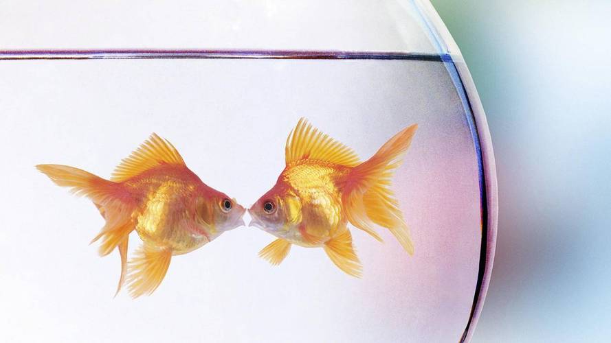 快手置顶业务秒刷网低价,ks刷赞低价网