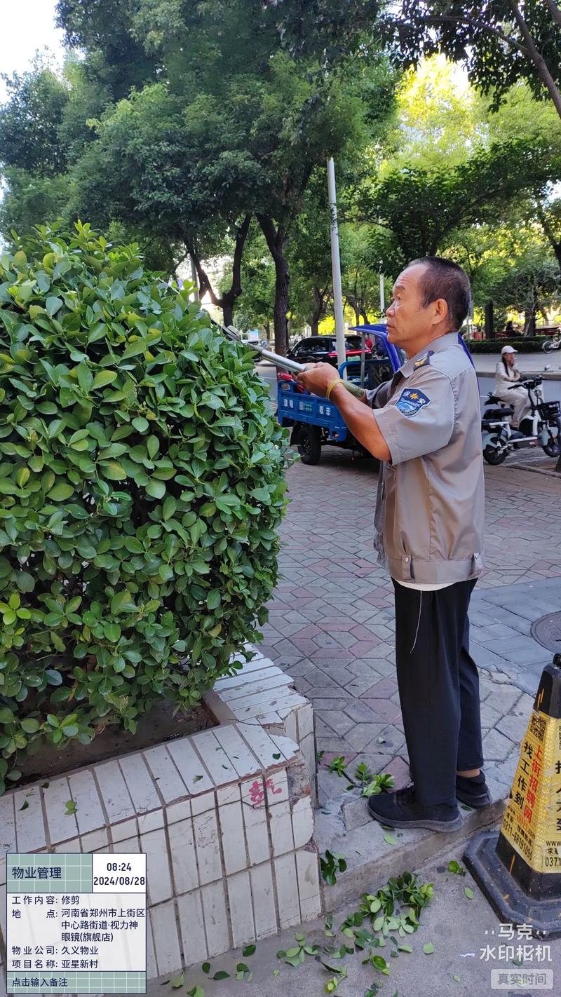 搜亚网络技术刷务业