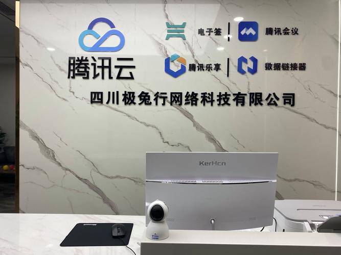 四川做网络平台的公司