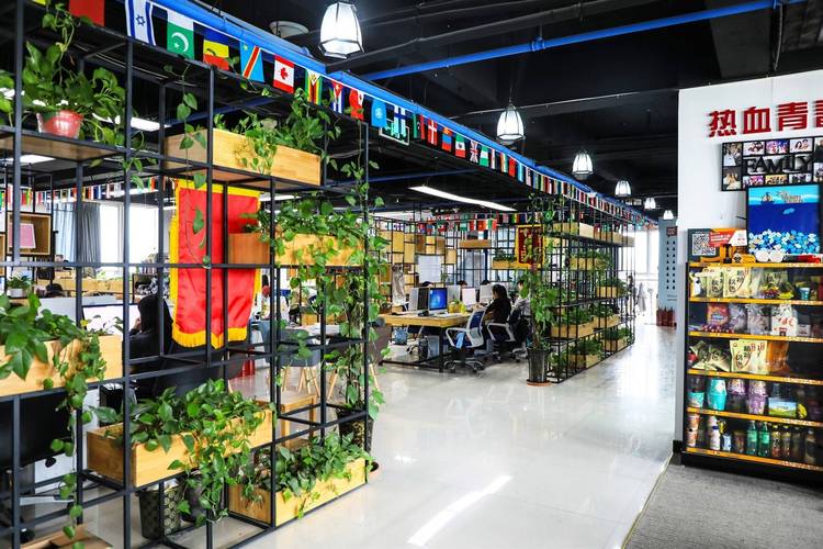 字酷网络科技有限公司