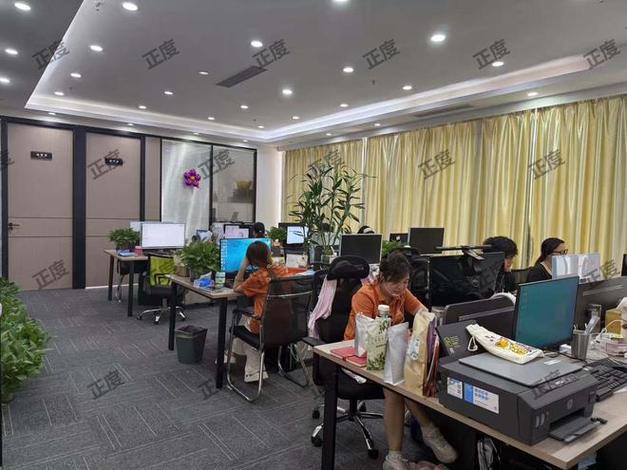 东莞营销网络服务商