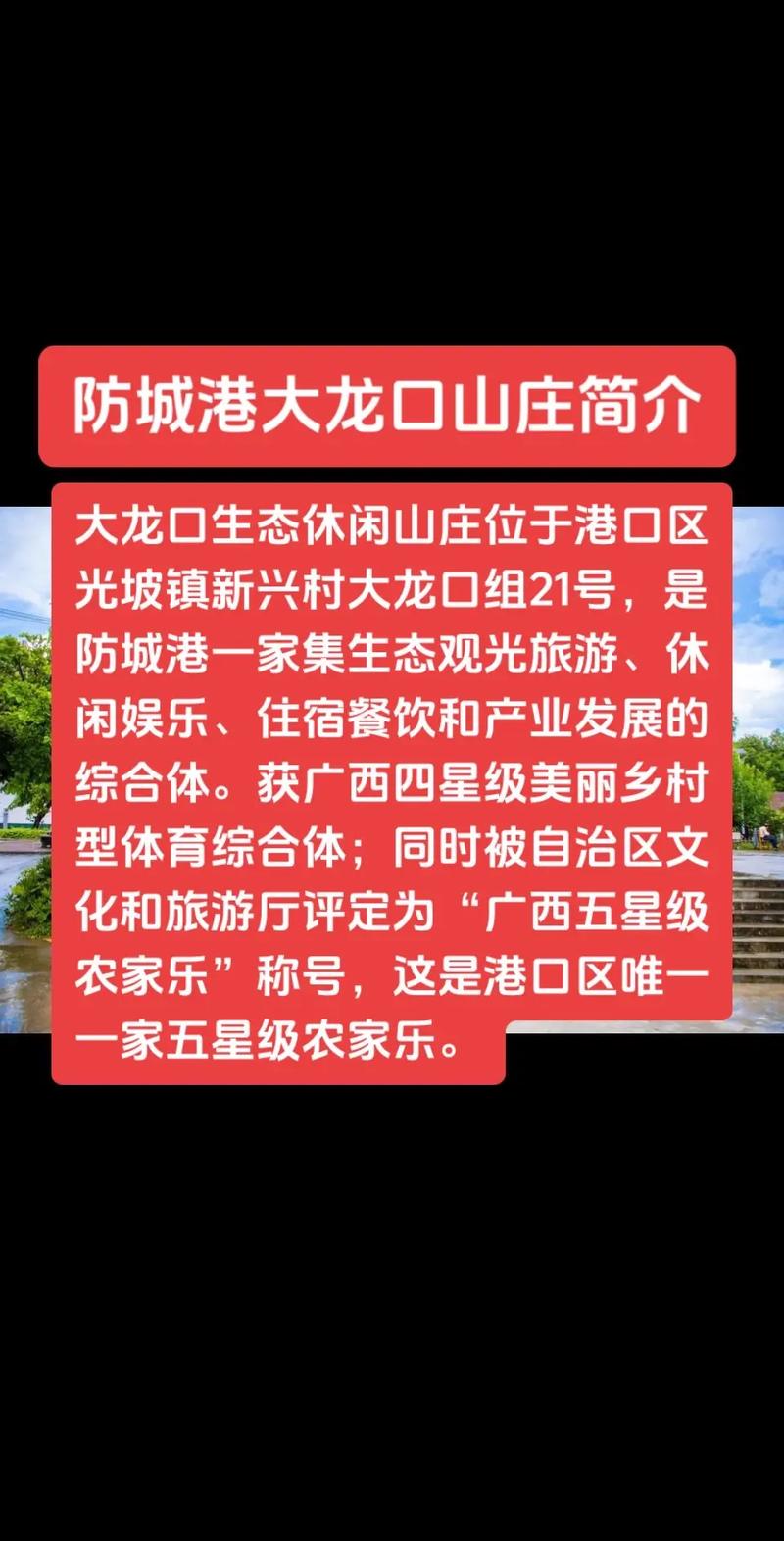 防城港网络营销策划