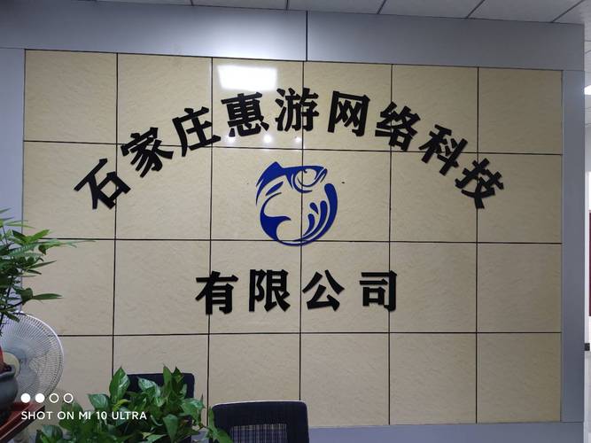 石家庄市网络科技公司