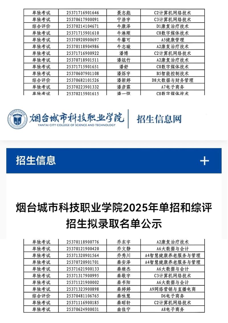 烟台网络优化哪家专业