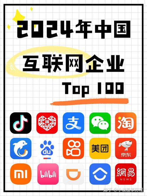 国内著名互联网络网站