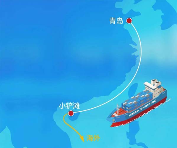 外贸与航运大网络图