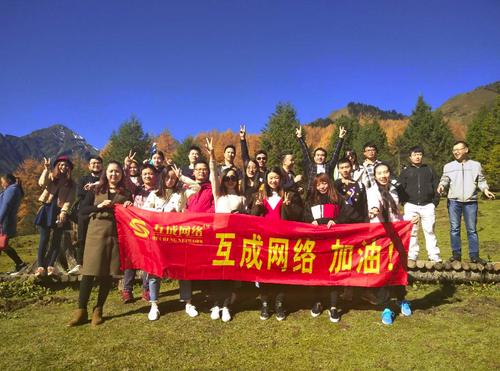 成都市网络营销公司