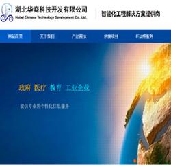 武汉网站建设的好公司