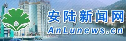 安陆网站建设推广