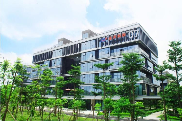 东莞市网络公司地址