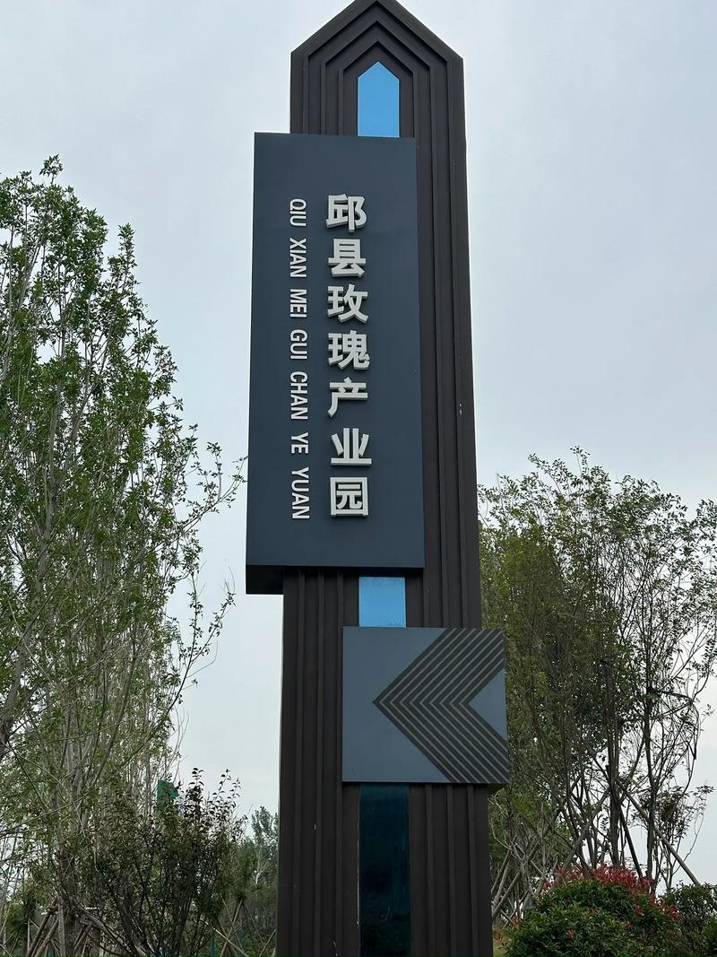 邱县品牌网站建设哪家好