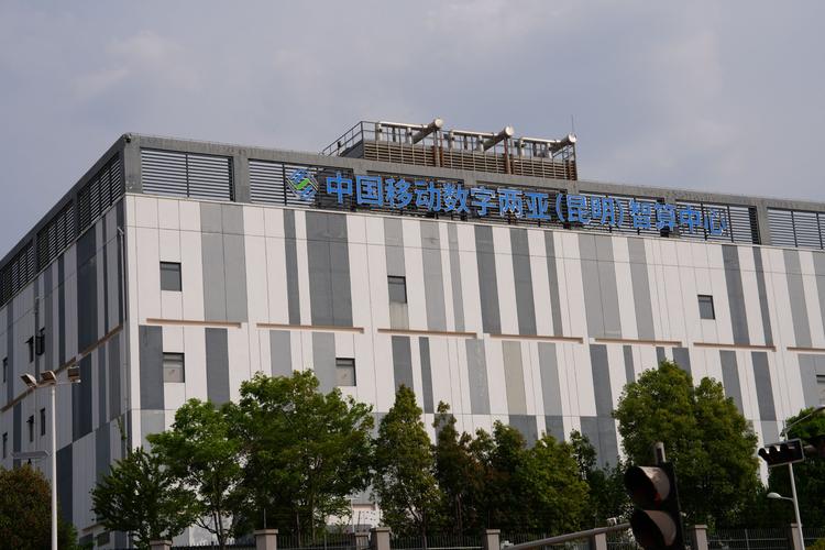 云南昆明有什么网络公司