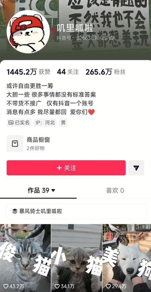 抖音业务下单24小时涨粉,ks点赞自助平台便宜炫彩网络科技