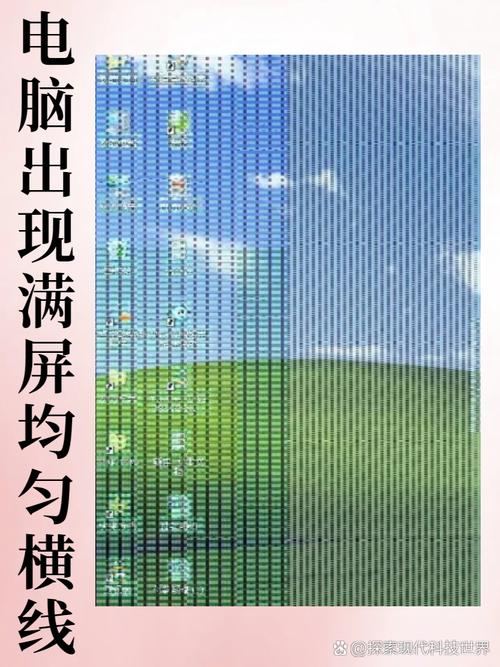 电脑信号满格却无法连接网络，是何原因？