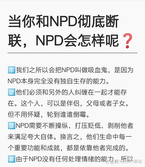 npr网络究竟有着怎样独特的意思呢？，- npr网络所表达的意思该如何准确理解？
