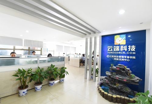徐州网络公司设想科技如何引领行业创新与发展？