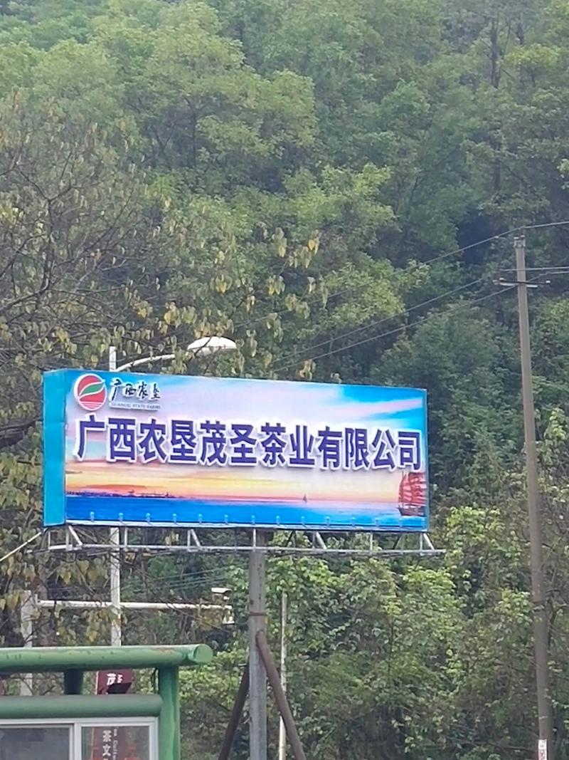 梧州网络推广实力如何，能否助力企业腾飞？