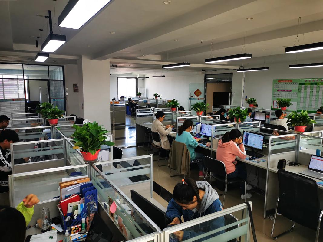 安丘网络公司提供哪些专业服务？