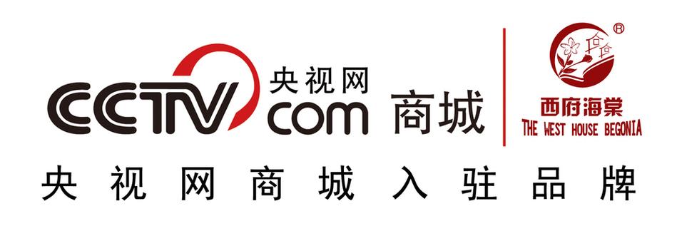 央视网商城如何通过联合发布模式实现创新营销？