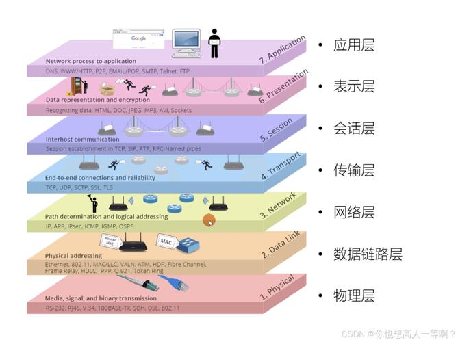 网络的网络究竟有着怎样独特而复杂的架构呢？