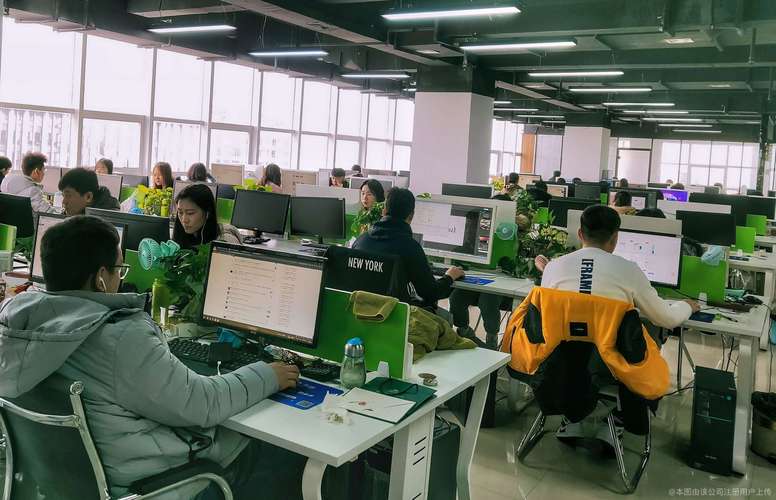 大秦网络，如何引领数字时代的新潮流？