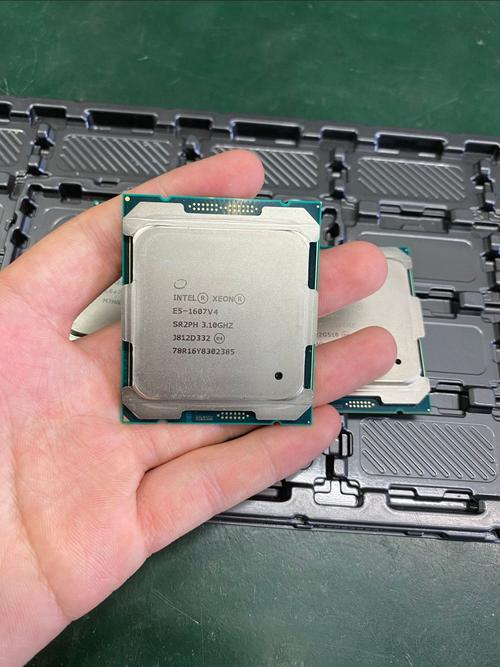 组装电脑选CPU，哪一款性能是最佳的呢？