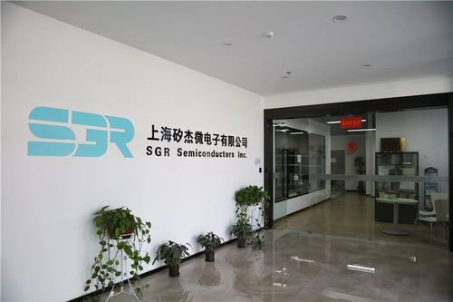 嘉定区网络公司哪家口碑服务最佳？