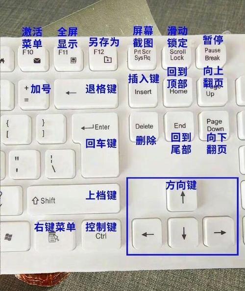 文艺风，- 探寻电脑入门究竟需多久方能学会的奥秘，活泼风，- 嘿！想知道电脑入门到底要多久才能学会呀，严谨风，- 关于电脑入门具体需要多久能够学会的疑问