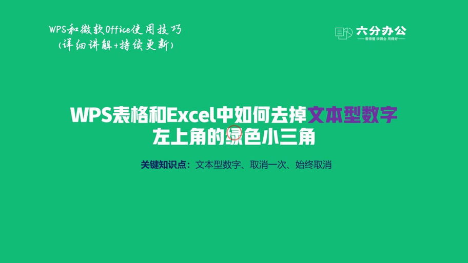WPS绿色设计背后的深意与市场竞争优势何在？