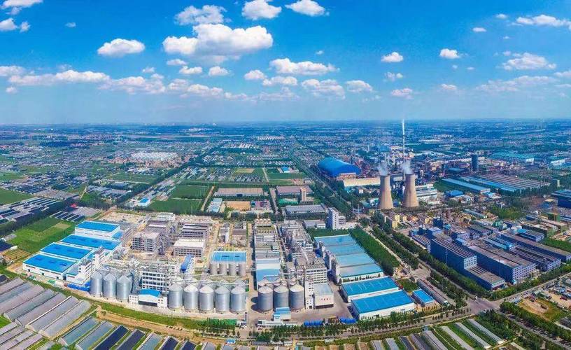 侧重建设效果方面，- 寿光国际网站建设效果究竟如何呢？，- 寿光国际网站建后效果是否理想？，- 寿光国际网站建设效果能达预期吗？，从对比角度设问，- 寿光国际网站建设效果比同行怎样？，- 寿光国际网站与别站建设效果孰优？，- 寿光国际网站建设效果和竞品相比咋样？