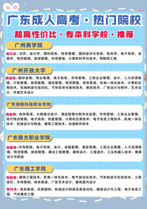 广东网站建设，专业之选