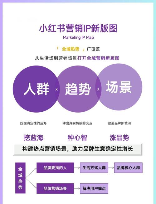 百度站长揭秘，网络销售的艺术与策略