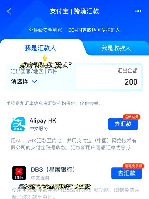 网络汇款公司，便捷与风险并存的金融新势力