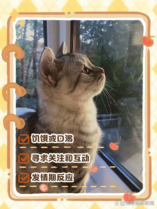 电脑上的猫多久该关心一次？守护网络稳定的小秘密
