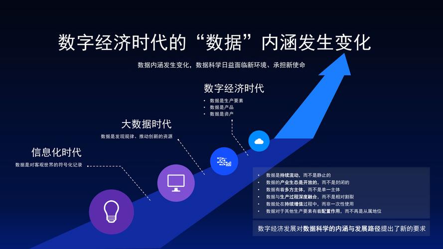 网络公司，数字经济时代的弄潮儿与变革者