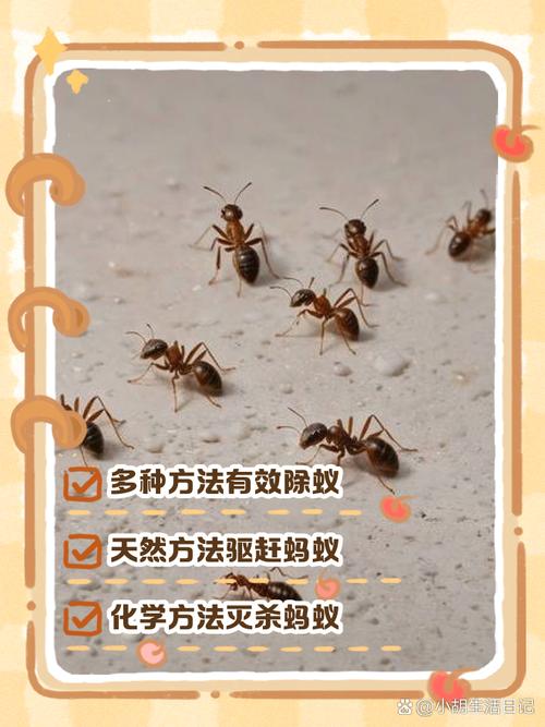 电脑里面出现蚂蚁的原因及解决方法