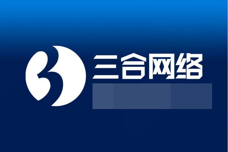 三合一网络科技有限公司