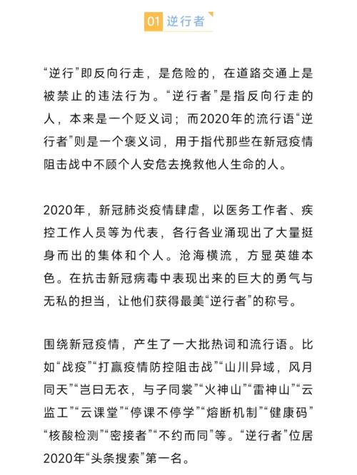 2O2O年十大网络用语