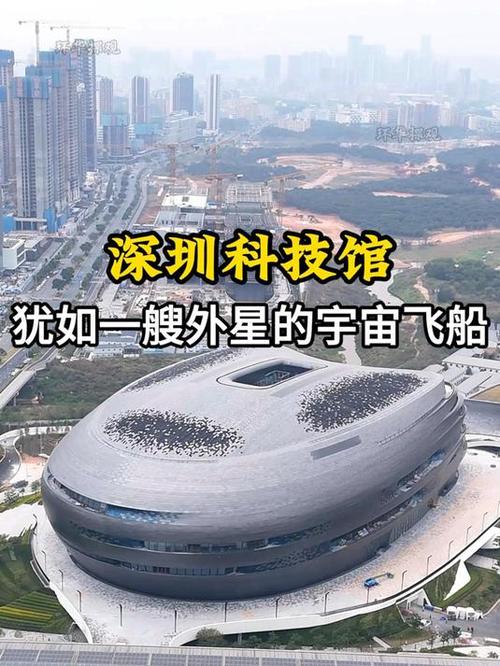 深圳市第一网络科技