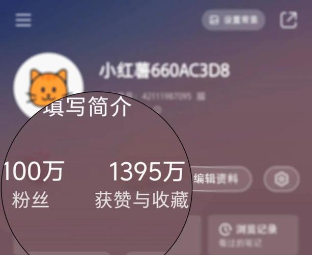 快手涨粉丝免费软件,抖音播放量过万,dy粉丝