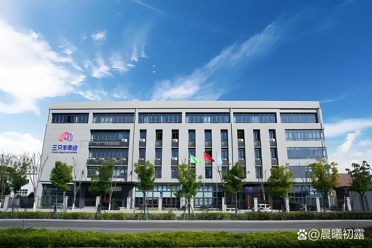 合肥市十大网络公司