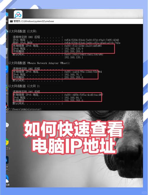 ip地址的网络号和主机号怎么看