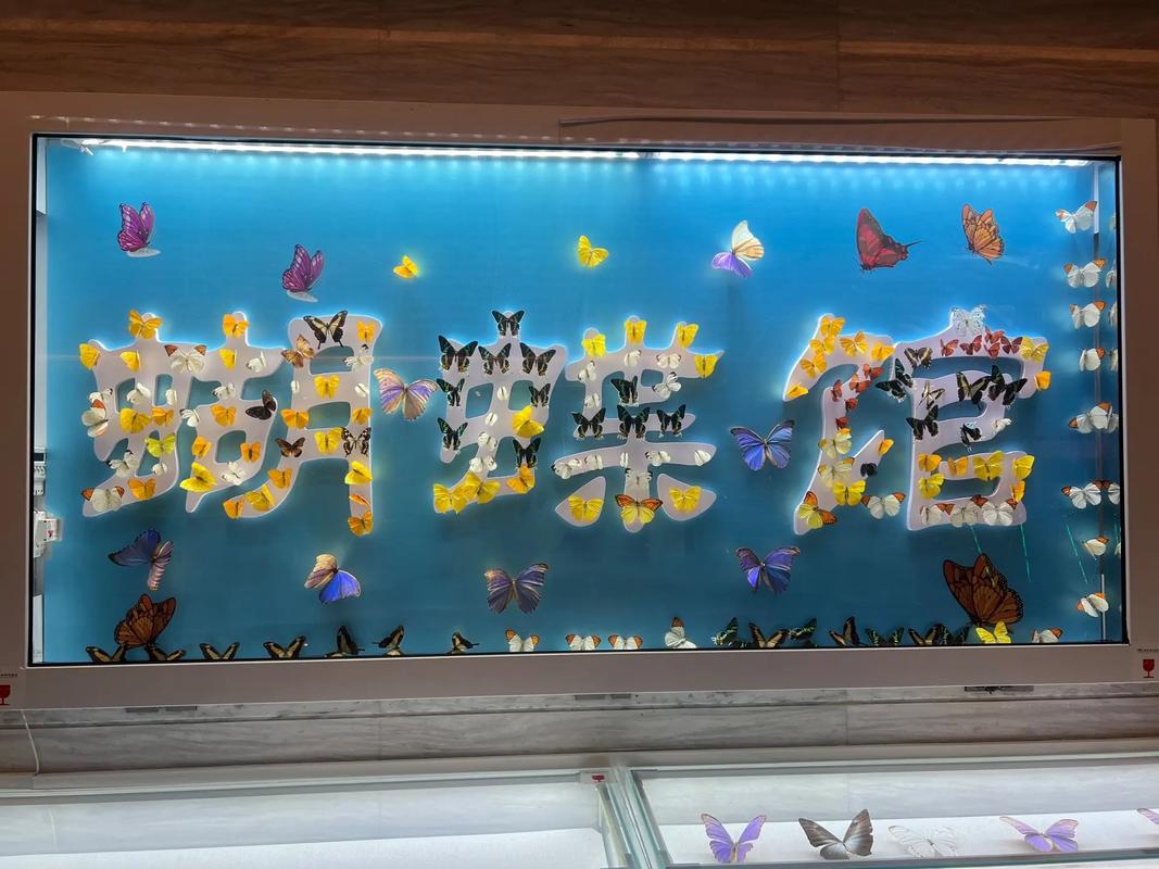 花蝴蝶抖音代,ks买赞业务,dy业务网站平台低价