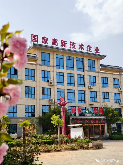 石家庄高端网站建设公司